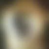 C.